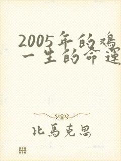 2005年的鸡一生的命运如何