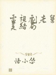 电视剧老舅里二美结局封面