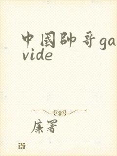 中国帅哥gay vide