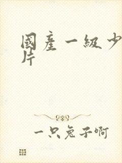 国产一级少妇淫片