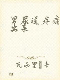 男尿道疼痛尿不出来