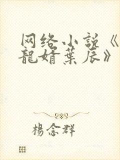 网络小说《上门龙婿叶辰》