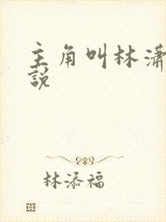 主角叫林潇的小说