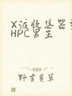 X液收集器系统HPC男主