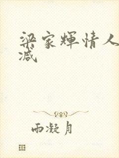 梁家辉情人无删减