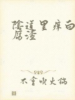 阴道里痒白带豆腐渣