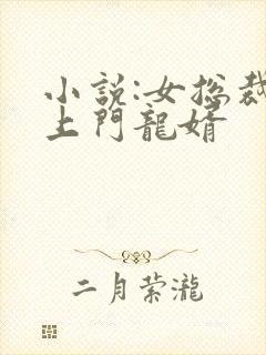 小说:女总裁的上门龙婿封面