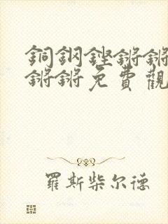 铜钢铿锵锵锵锵锵锵免费观看在线观