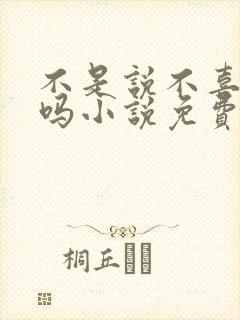 不是说不喜欢我吗小说免费阅读