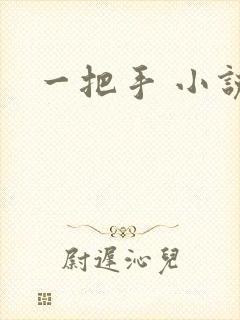 一把手 小说