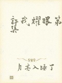 许我耀眼第十四集