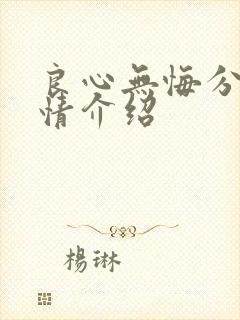 良心无悔分集剧情介绍封面