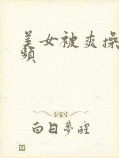 美女被爽操的视频