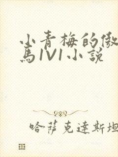 小青梅的傲娇竹马1V1小说封面