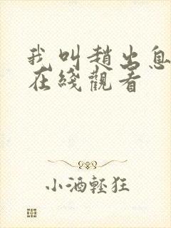 我叫赵出息21在线观看