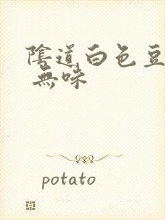 阴道白色豆腐渣 无味