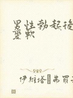 男性勃起后很快变软封面