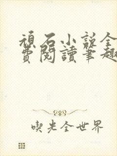 顽石小说全文免费阅读笔趣阁