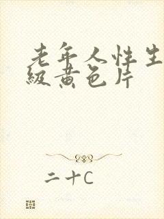 老年人性生活一级黄色片