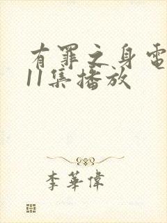 有罪之身电视剧11集播放