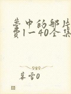 梦中的那片海免费l一40全集