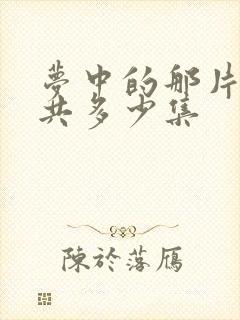 梦中的那片海一共多少集