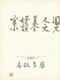 官婿美人图安江小说全文免费阅读