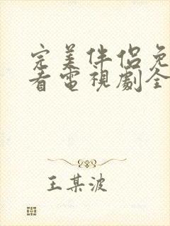 完美伴侣免费观看电视剧全集