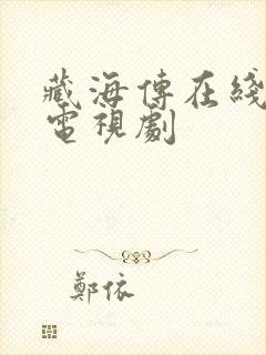 藏海传在线免费电视剧