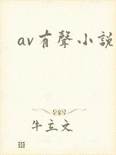 av有声小说封面