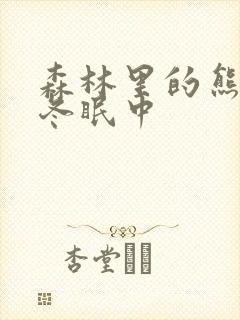 森林里的熊先生冬眠中