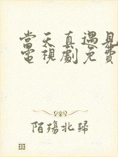 当天真遇见爱情电视剧免费观看完整版封面