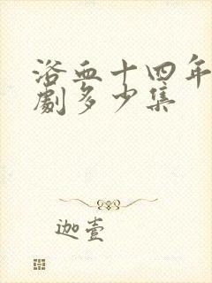 浴血十四年电视剧多少集