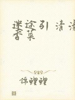 迷途引 清汤涮香菜封面