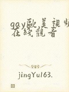 gay欧美视频在线观看