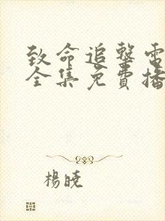 致命追击电视剧全集免费播放