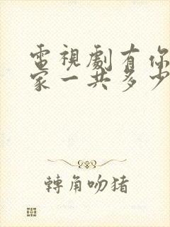 电视剧有你才有家一共多少集