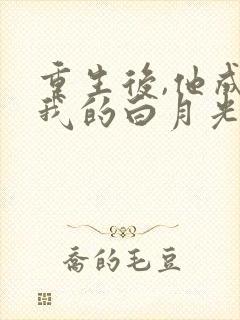 重生后,他成了我的白月光完整版