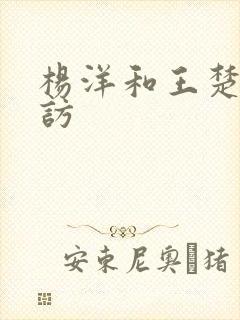 杨洋和王楚然采访