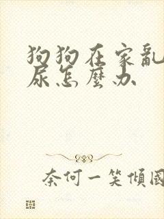 狗狗在家乱拉乱尿怎么办