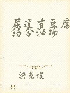 尿道有豆腐渣似的分泌物