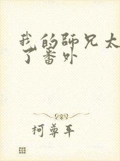 我的师兄太稳健了番外