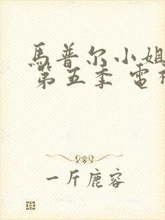 马普尔小姐探案 第五季 电视剧