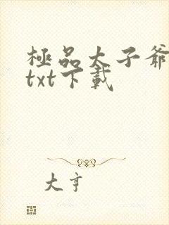 极品太子爷全本txt下载