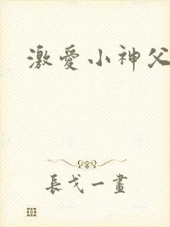 激爱小神父