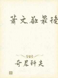 萧文敬最后结局