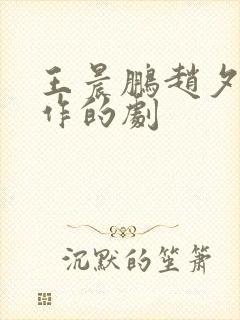 王晨鹏赵夕汐合作的剧