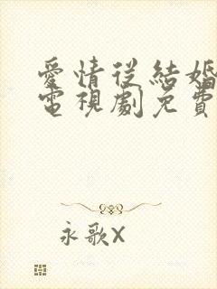 爱情从结婚开始电视剧免费观看全集