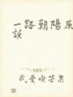 一路朝阳原著小说