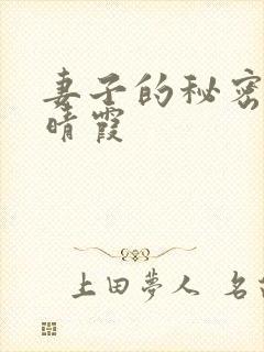 妻子的秘密 韩晴霞